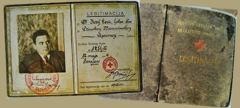 Izgled legitimacije Društva Crvenog krsta Kraljevine Jugoslavije 1934. godine